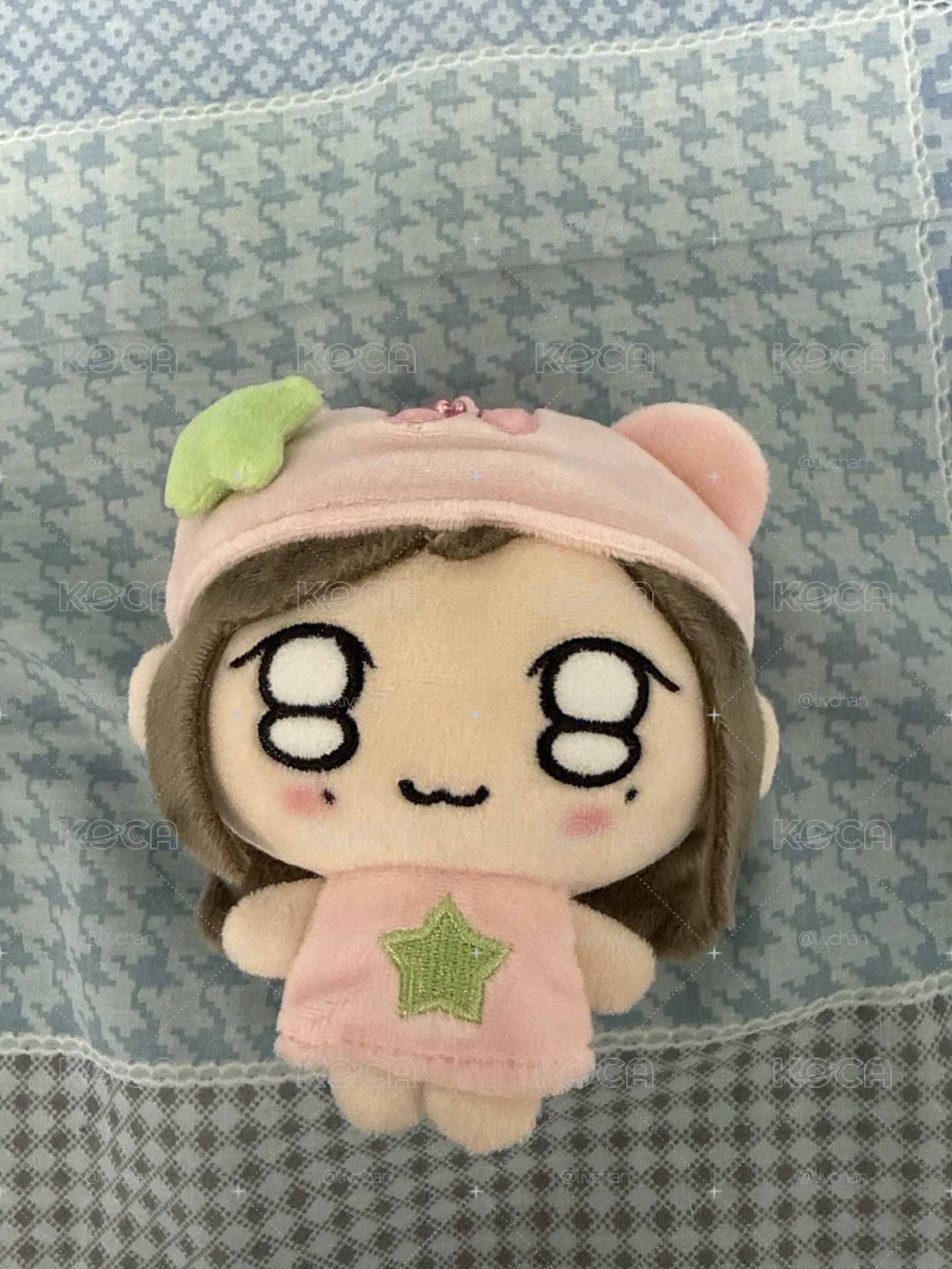 ive 娃專 瑞