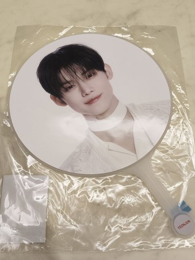 然竣 🕊️ 白衣王扇 含捆 