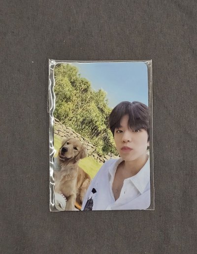 玟 城 彬 濟州島滿額卡