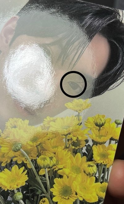 崔立于 展會卡共16張