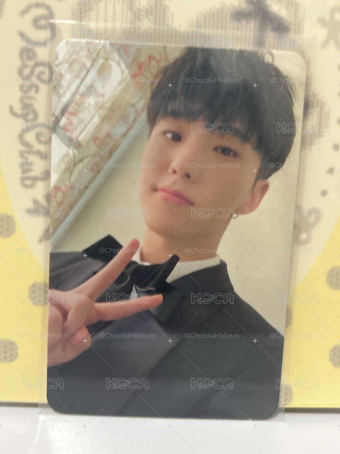 hoshi mini10克拉盤