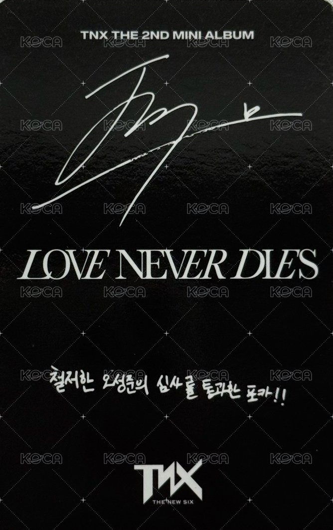 The 2nd Mini Album 【Love Never Dies】 RECORD Ver. 專輯卡  背面