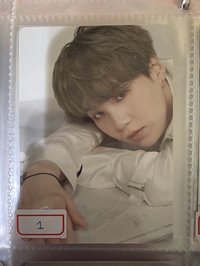 Suga 1/8