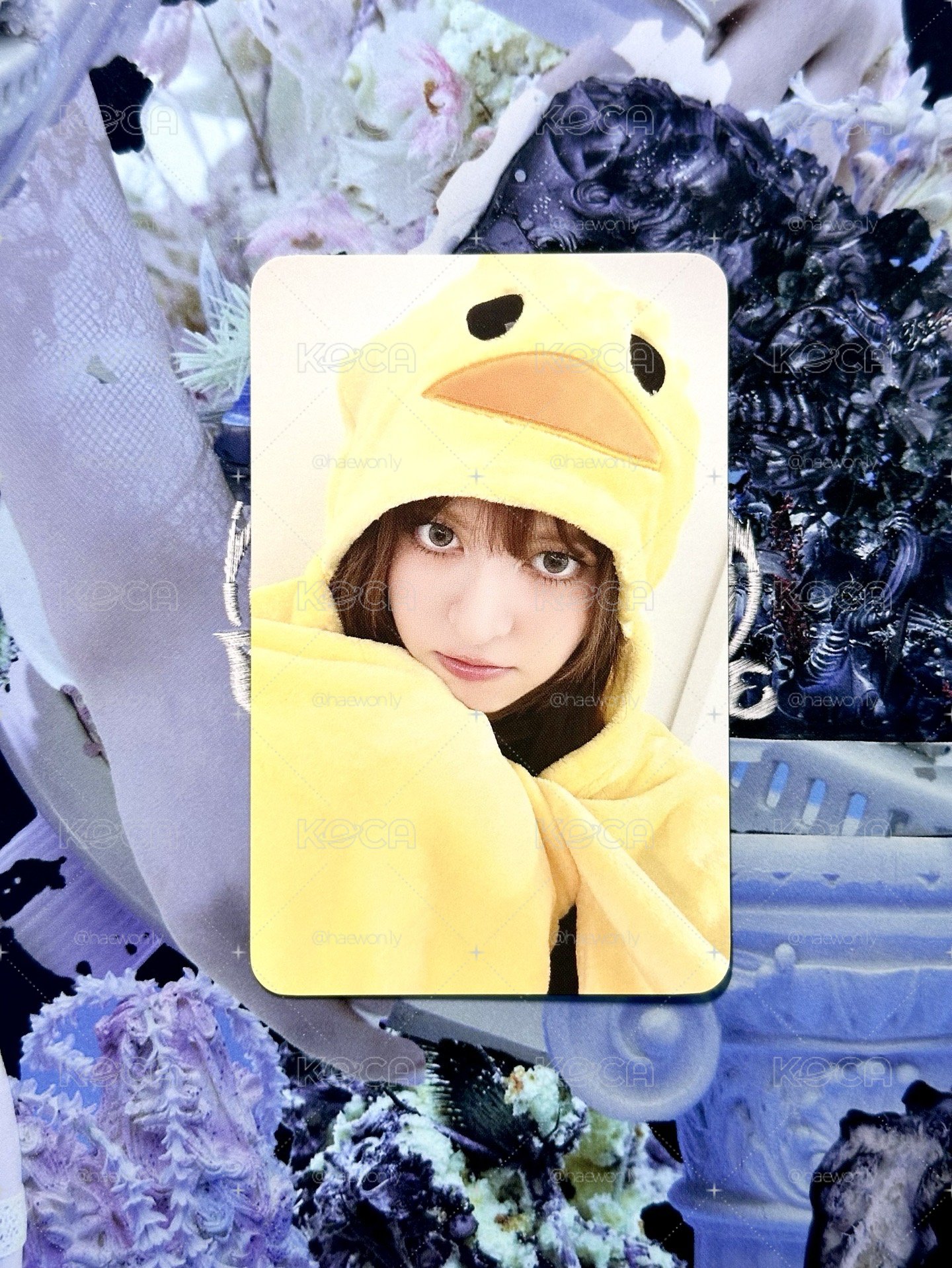 小黃鴨莉