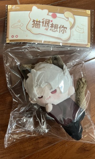 ［現貨］秦徹🐦‍⬛猫很想你磁吸毛絨娃（全新未拆）+🐦‍⬛萬達電影聯名滿額贈貼紙一張（有原包）