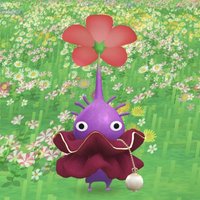 芭ㄋㄚㄋㄚ