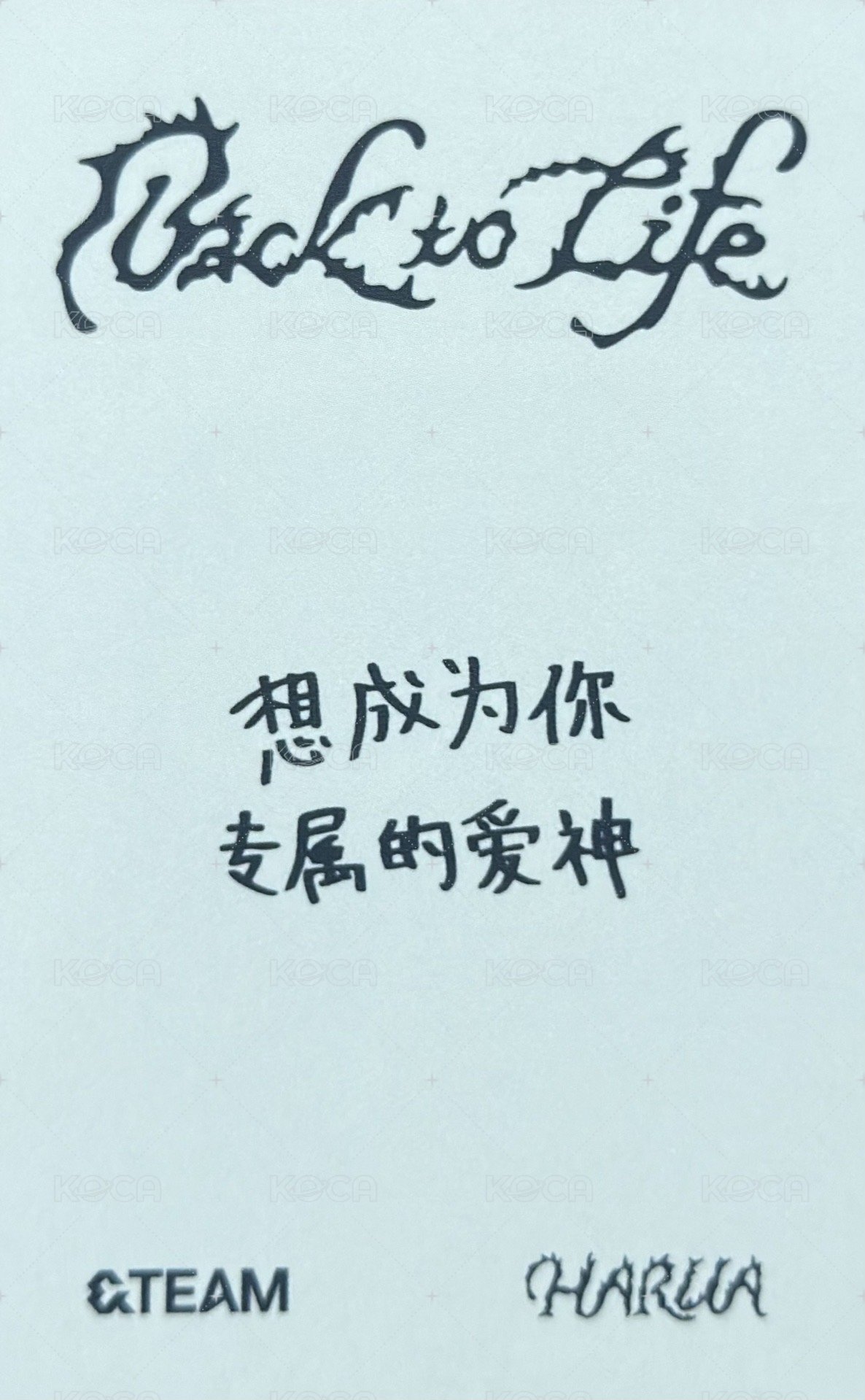 BTL yzy 預售 特典卡 中文卡背 背面