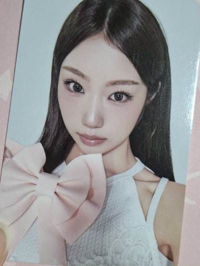 26’年曆固配小卡+證件照