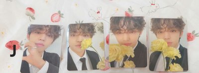 可單帶區 專卡 SEVENTEEN 勝哲 淨漢 知秀 順榮 圓佑 知勳 碩珉 珉奎 明浩 勝寛