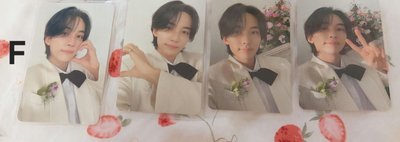 ❤️區 SEVENTEEN 專卡 勝哲 淨漢 知秀 圓佑 碩珉 珉奎 順榮