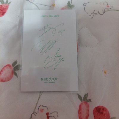 SEVENTEEN IN THE SOOP 筆記本 小卡 勝哲 俊輝 珉奎