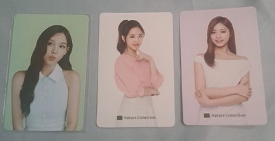 粉餅卡／康普茶卡