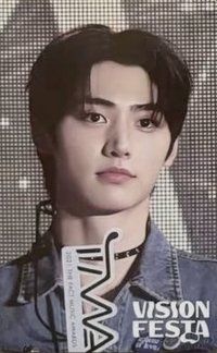 VISION FESTA 入場卡 / 場限卡 