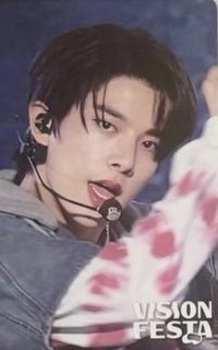 VISION FESTA 入場卡 / 場限卡 