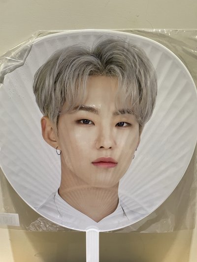 [SVT] Hoshi 2020日本蛋巡大扇
