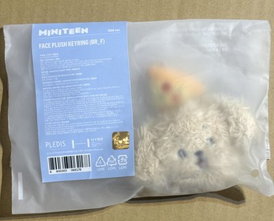 MINITEEN 大頭吊飾 免綁直出 哲 奎 勳 碩 寛 