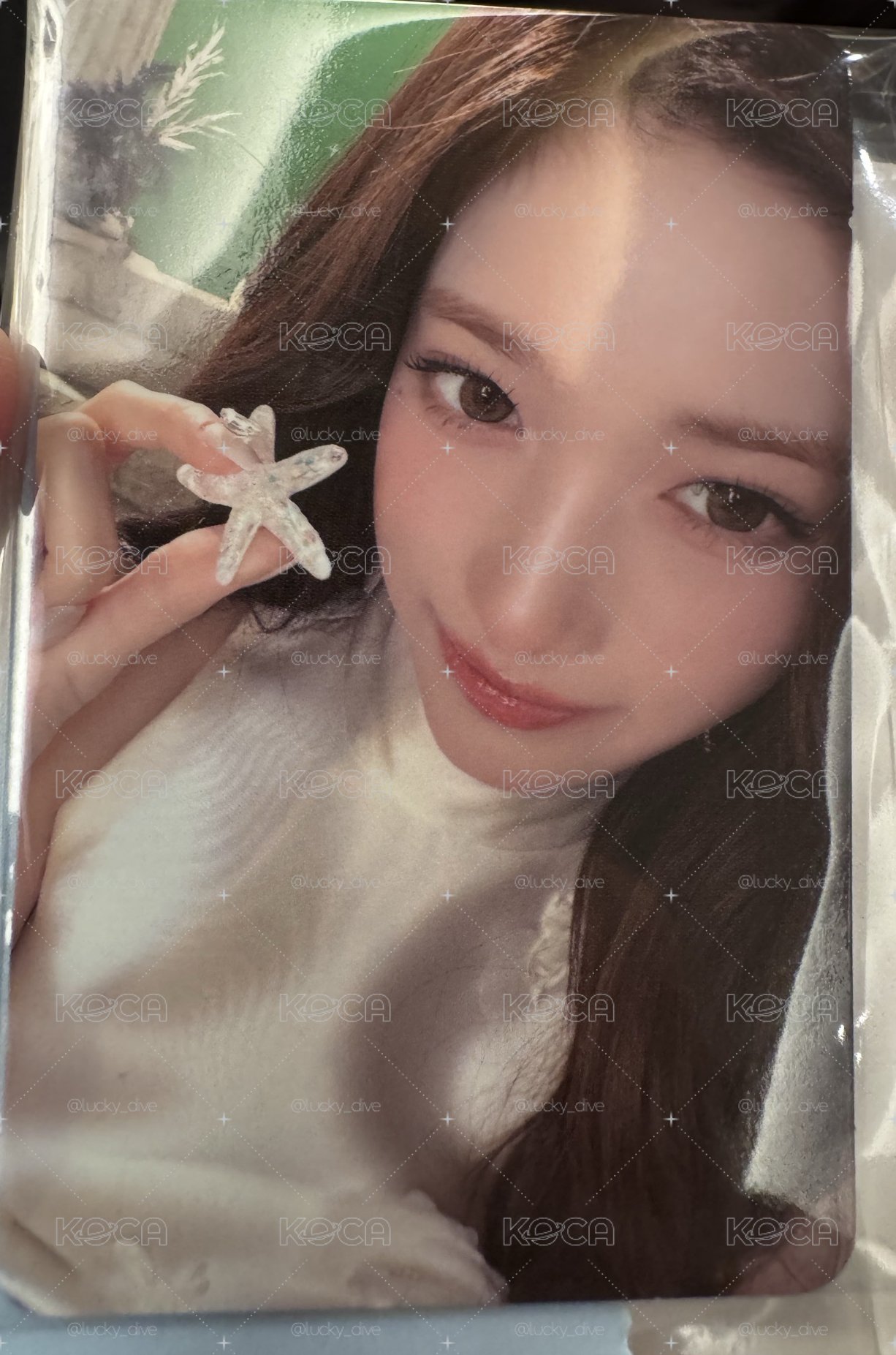 項鍊瑞