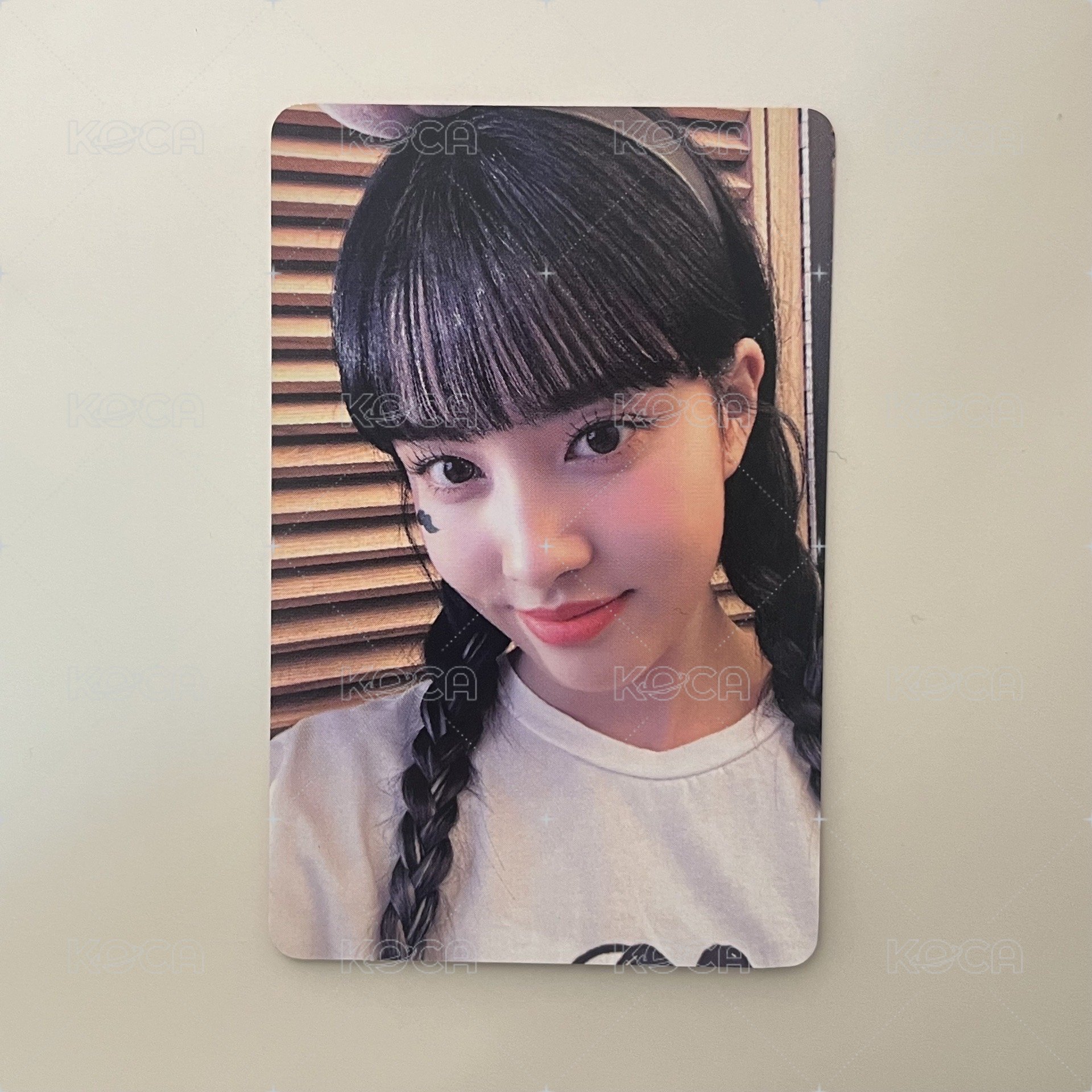 🐯teddy bear wm