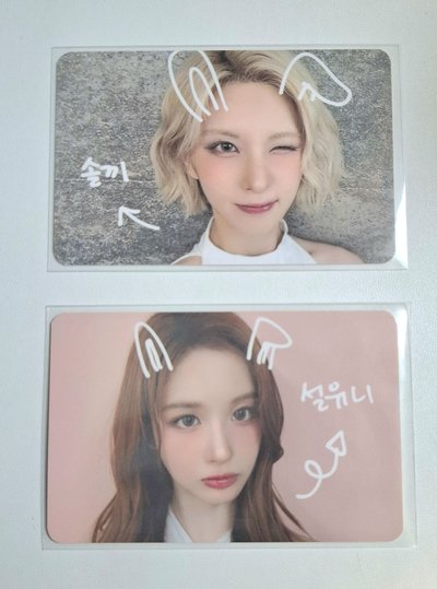 MS寵物鏡頭 裴薛