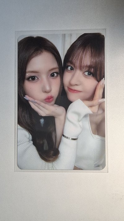 MS寵物鏡頭 裴薛