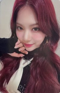 泰迪熊 sr 簽售卡 3.0