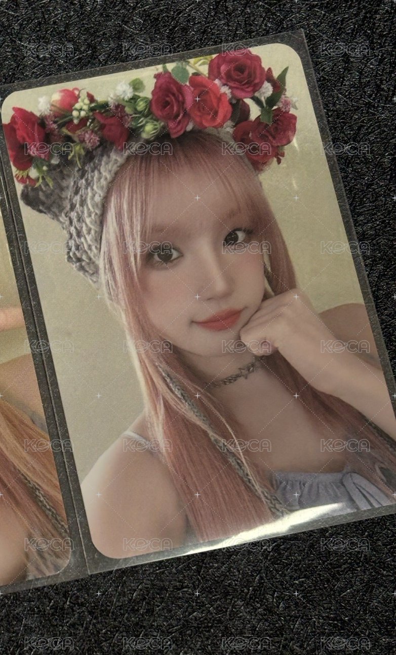 ms 15.0 花圈