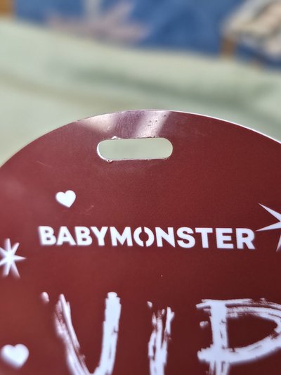 二手官方手燈、2025世巡VIP專屬吊牌／明信片、DRIPms幸運卡、YG預售禮小卡