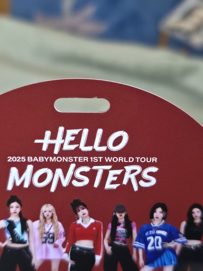 二手官方手燈、2025世巡VIP專屬吊牌／明信片、DRIPms幸運卡、YG預售禮小卡