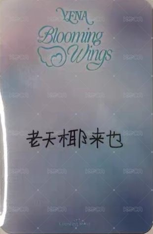 迷四 數星星 上海線下 簽售卡 髮圈 背面