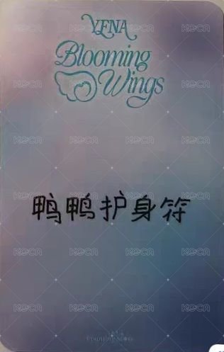 迷四 數星星 上海線下 簽售卡 髮圈 背面