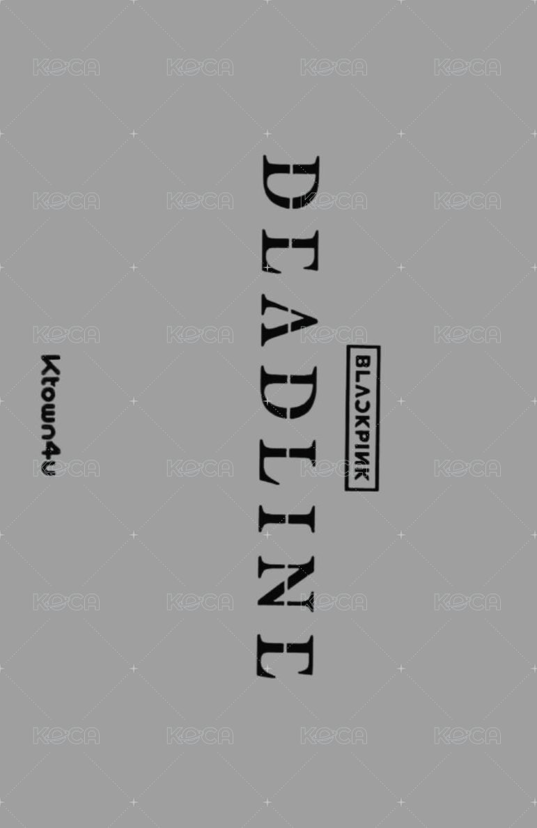 DEADLINE   共通團卡 特典卡  背面