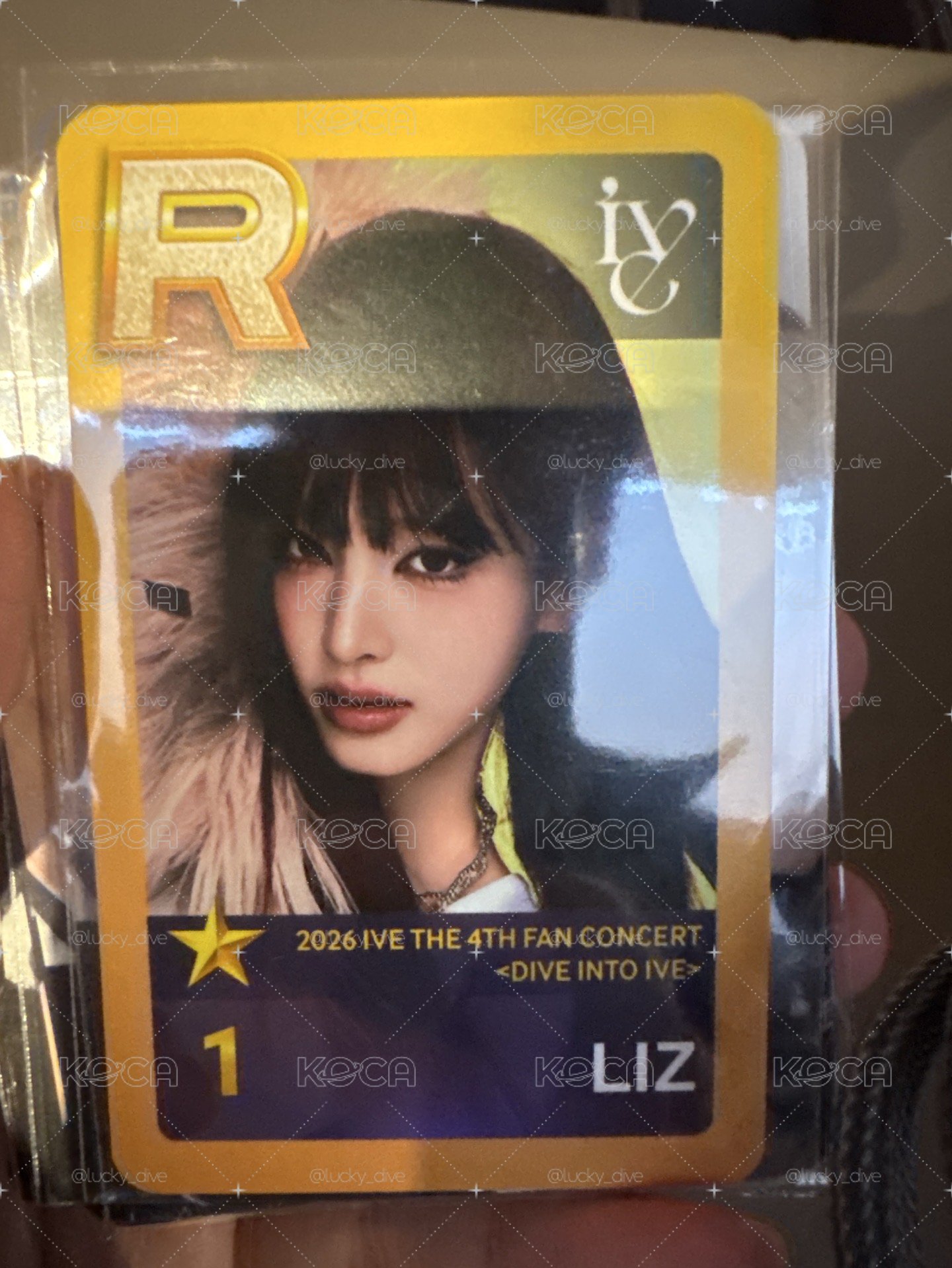 任務卡liz
