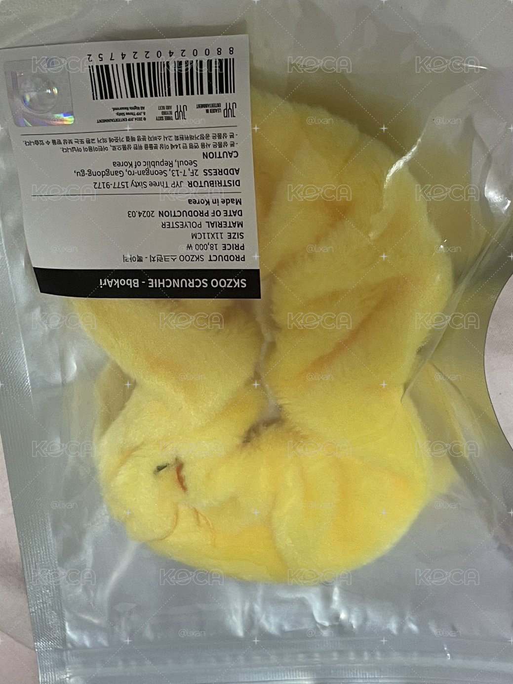 菲大腸髮圈