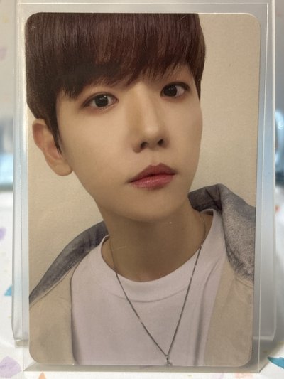 23年特萊騎 隨機卡 