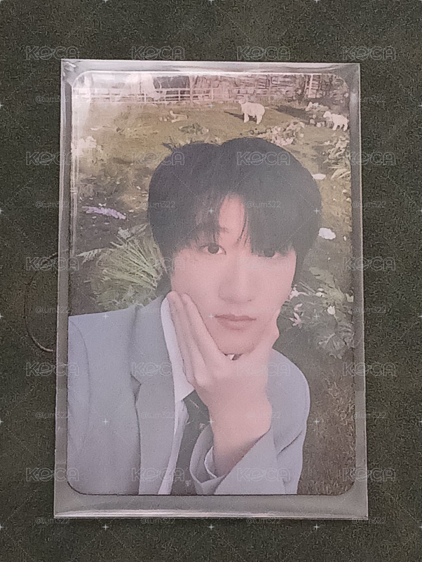 黃朔登陸日-特別企劃家族款