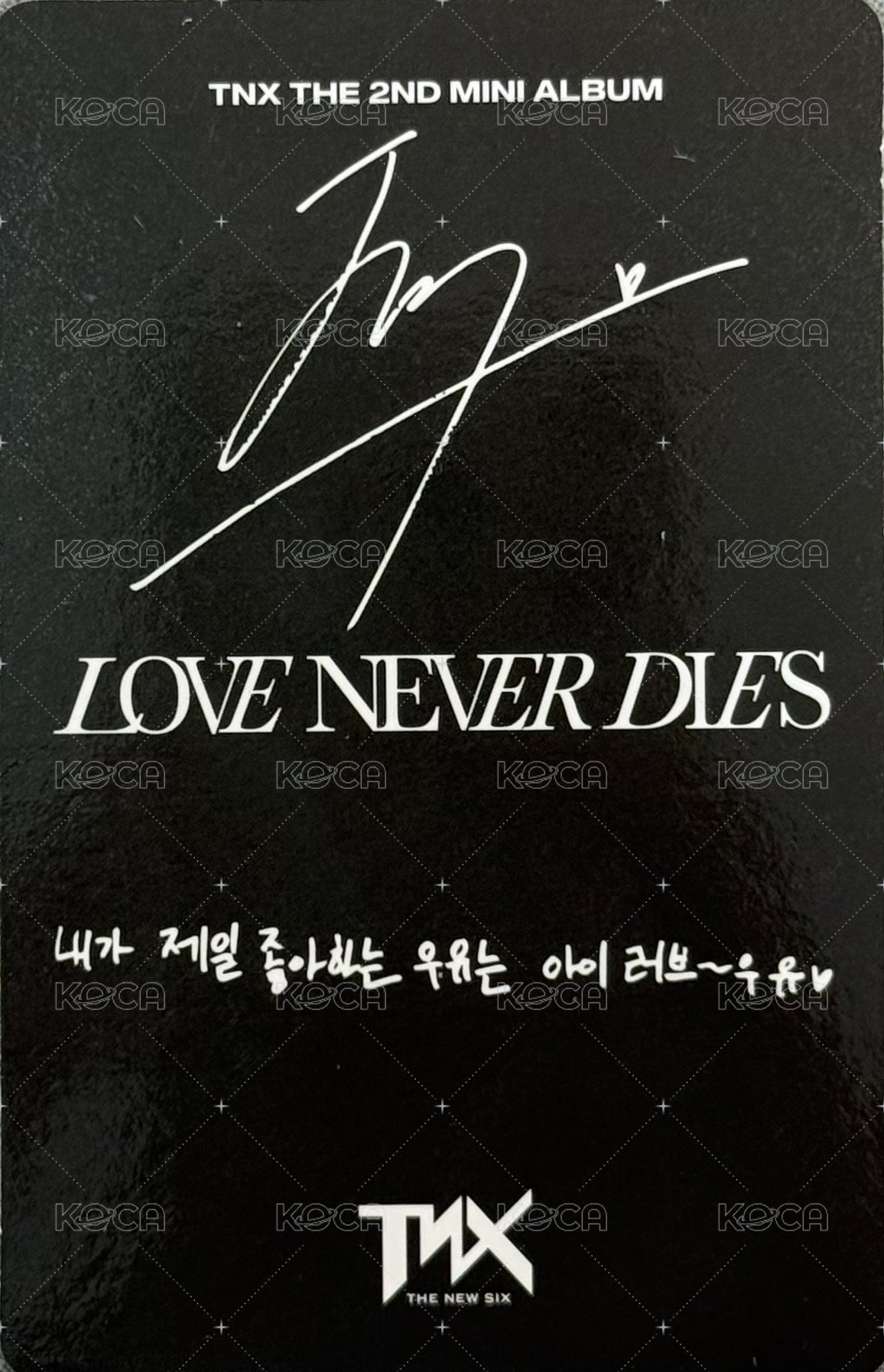 The 2nd Mini Album 【Love Never Dies】 RECORD Ver. 專輯卡  背面