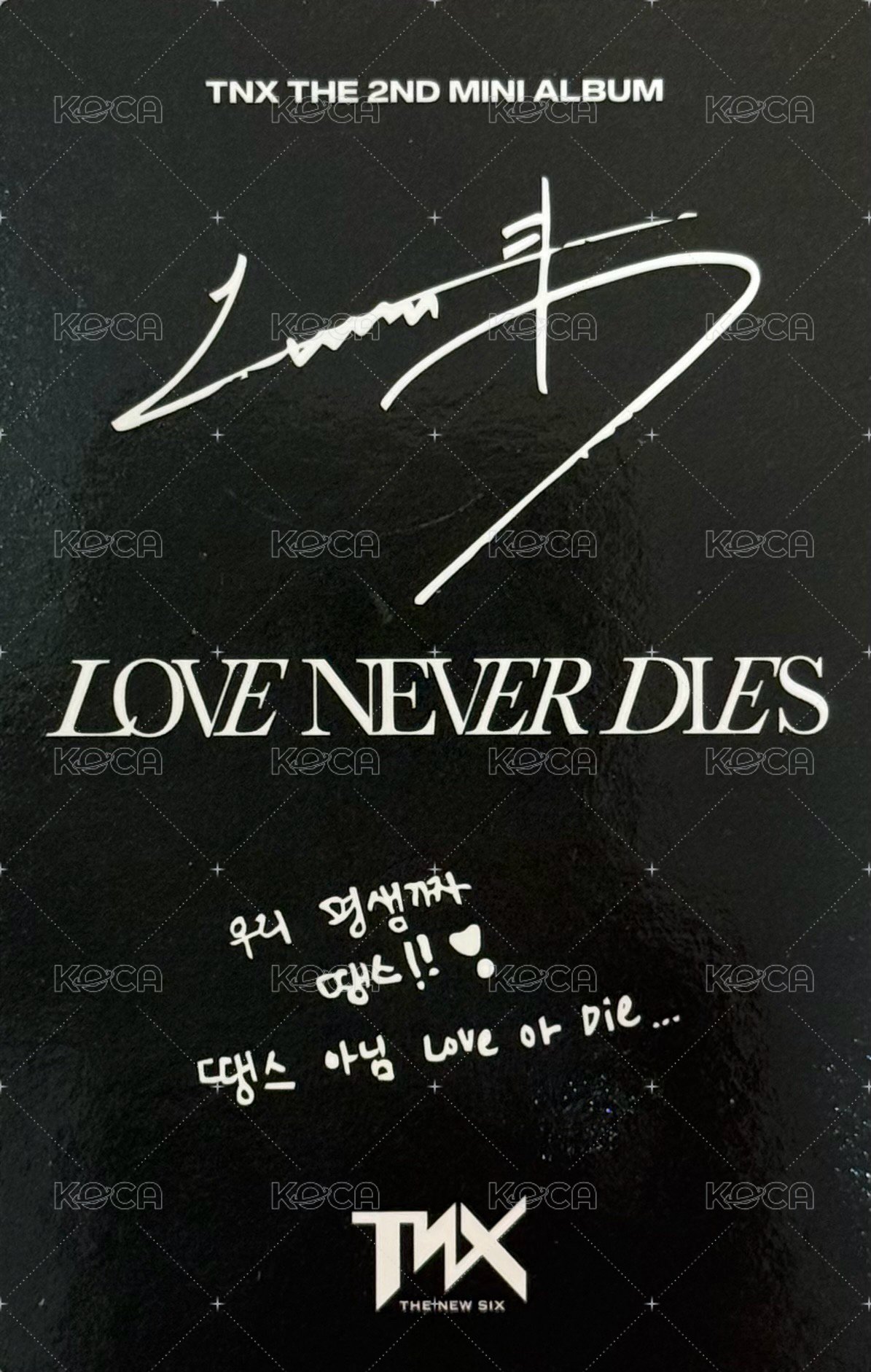 The 2nd Mini Album 【Love Never Dies】 RECORD Ver. 專輯卡  背面