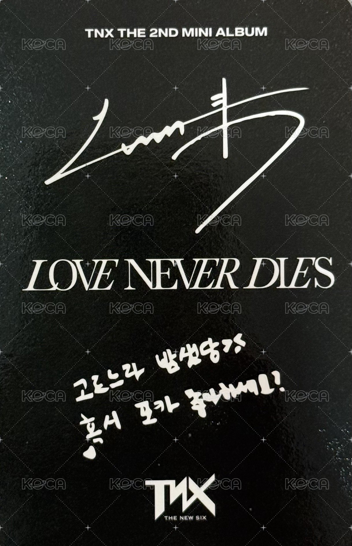 The 2nd Mini Album 【Love Never Dies】 RECORD Ver. 專輯卡  背面