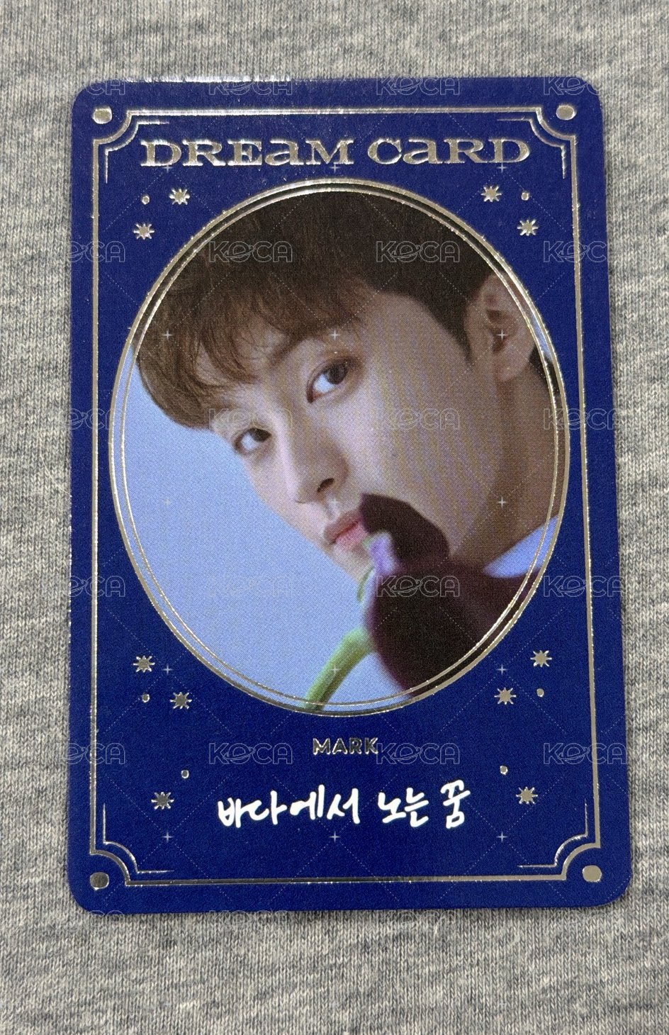 李MARK