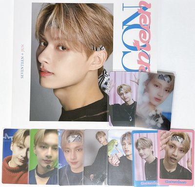 Seventeen Dicon 文俊輝