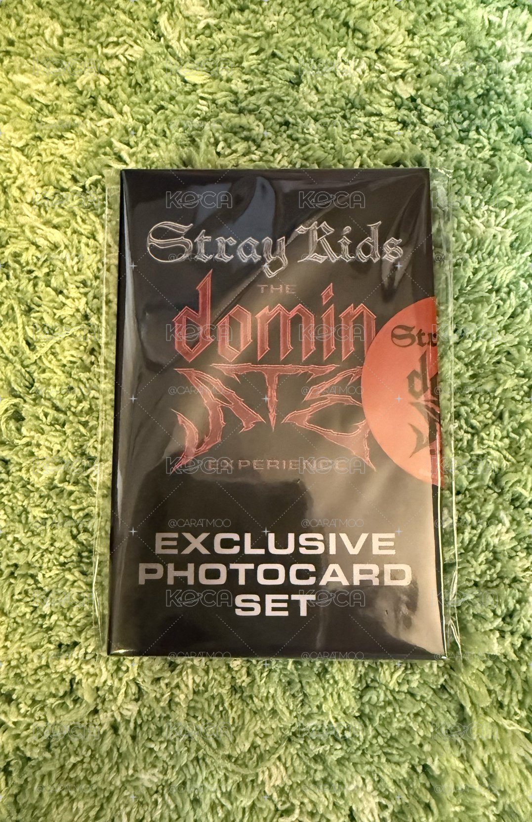 Stray Kids電影特典卡一套