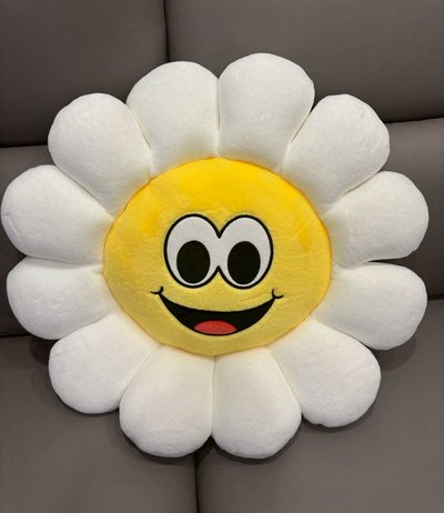 Follow Again 抱枕 太陽花抱枕