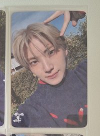 日咖 通路 貓耳