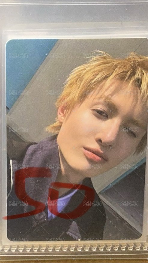 寶藏男孩愛德華馬丁2