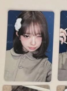 上排髮夾怜
