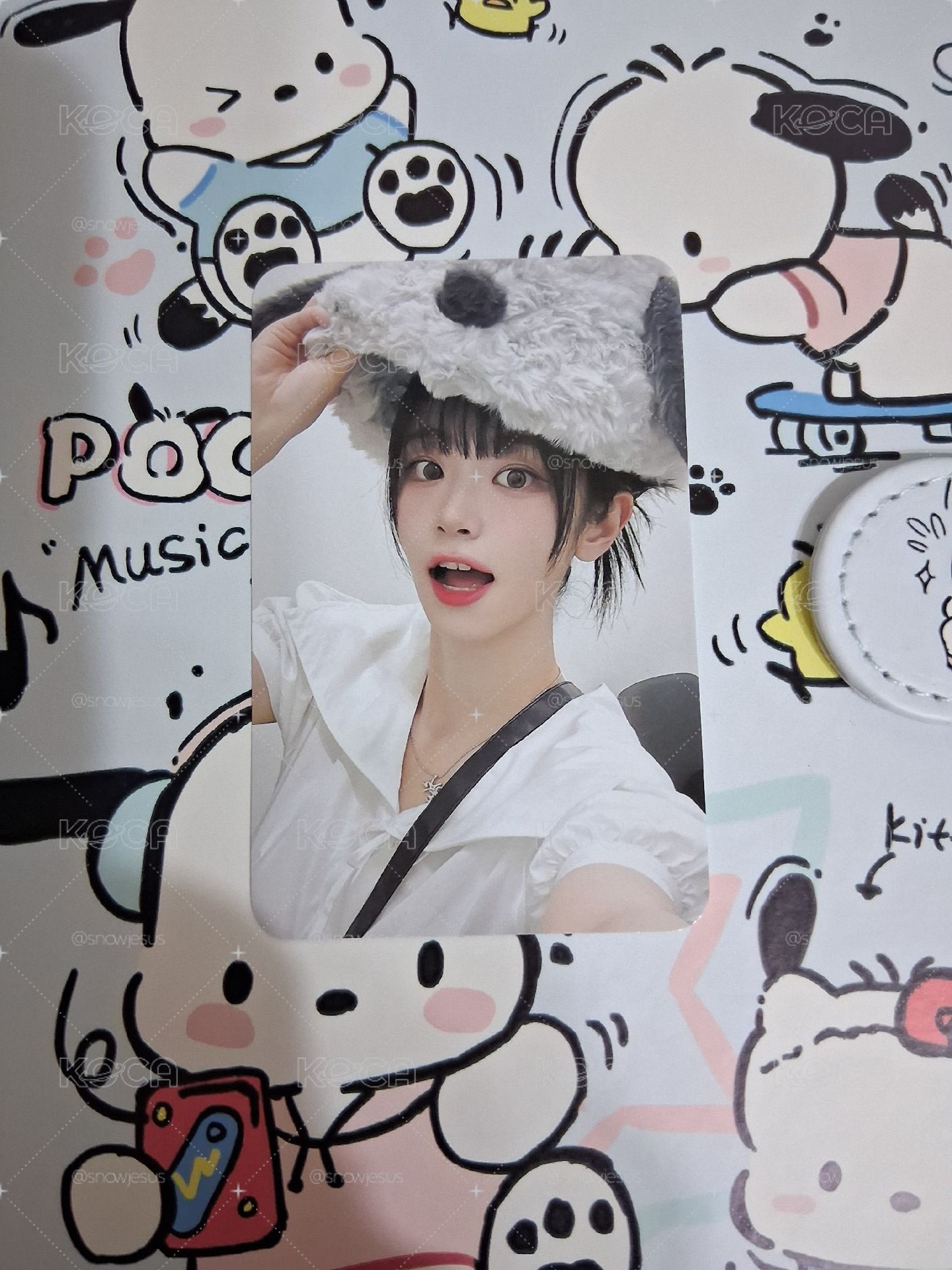小狗帽Chodan 