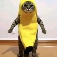 Kt（賣場下單兩樣商品-10）