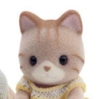  ⭐️CH3COOH（下單前請看自介）