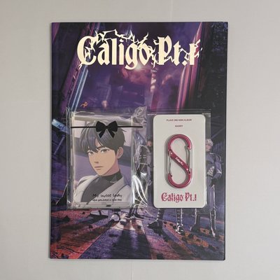 咖哩狗1專輯💿+5人卡+隨機罪人卡