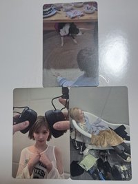 最可愛的忙內貓貓